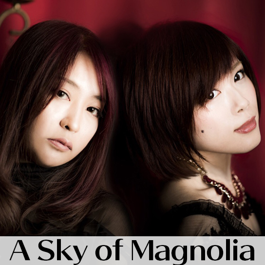 A Sky of Magnolia