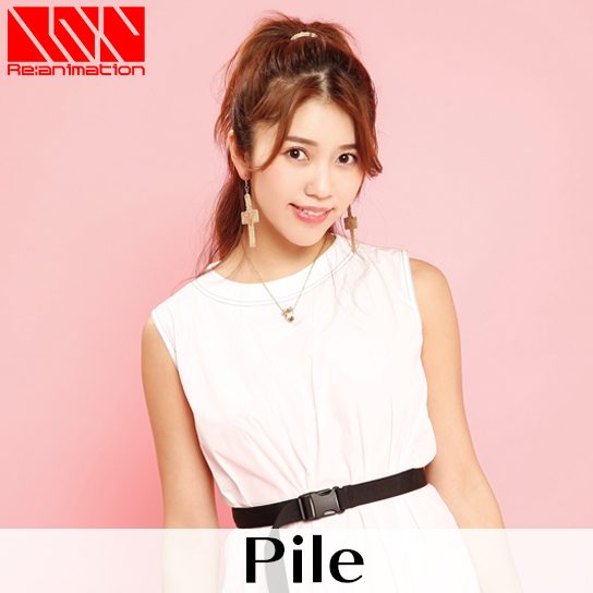 Pile